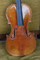 Violon 2011